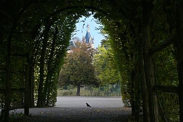 Blick durch einen dunklen Laubengang von der Hainbuche auf den Turm des Schweriner Schlosses, gewähl von Maren Winter