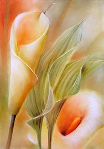 Deux Callas sur Annette Schmucker