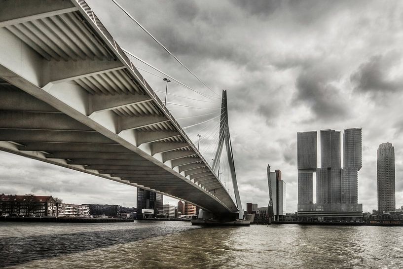 Le pont Erasmus par Mario de Lijser