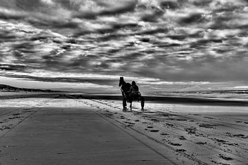 paard en sulky op het Hollandse  strand in zwart-wit