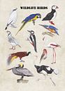 Wild lebende Vögel von Jasper de Ruiter Miniaturansicht