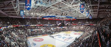 Mannheim Eishockey von Steffen Grocholl