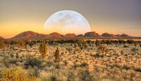 Moon over the Olga's - Australia
