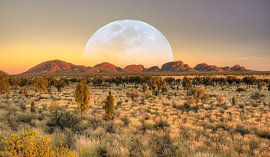 Mond über den Olgas - Australien von Arthur de Rijke