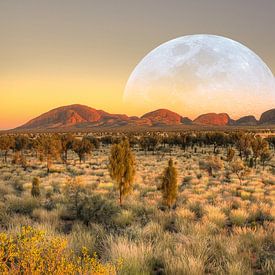 Lune au-dessus des Olgas - Australie sur Arthur de Rijke