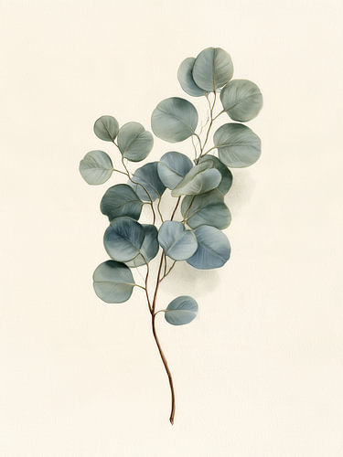 Minimalist eucalyptus branch 01