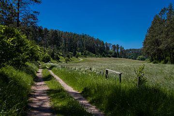 Magnifique sentier de randonnée dans la vallée du Lampertstal sur David Esser