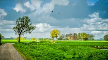 Frisian landscape near Kubaard. by Jaap Bosma Fotografie