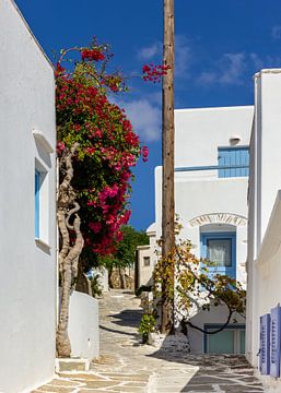 Straße auf Paros, Griechenland von Adelheid Smitt