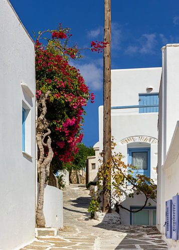 Street on Paros, Greece