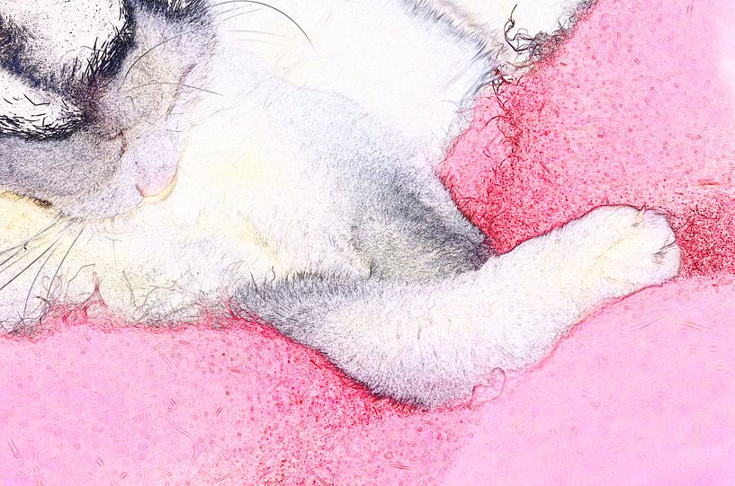 Lady on Pink by De Rover