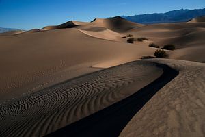 'The dunes' van SuperB Design