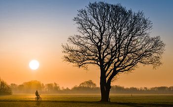 Radfahren am Morgen