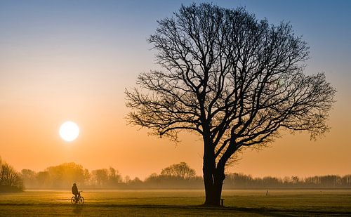 Fietsen in de ochtend