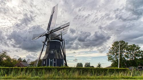 Uitzicht op de molen van Nisse
