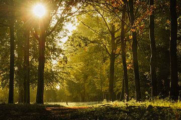 De natuur in huis van Dirk van Egmond