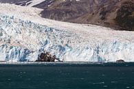 Aialik Gletsjer Alaska  in de Kenai Fjords van Menno Schaefer thumbnail
