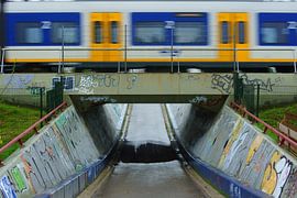 Trein op een viaduct by Michel van Kooten