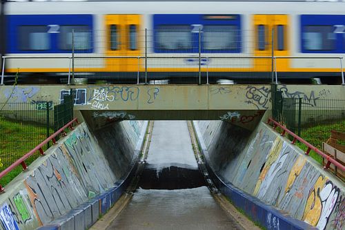 Trein op een viaduct
