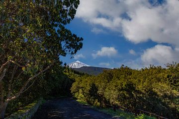 El Teide, vulkaan op Tenerife Spanje