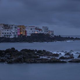 In the breath of the first light by Walter G. Allgöwer