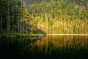 Sonnenaufgang am großen Arbersee