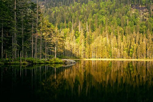 Zonsopgang bij de grote Arbersee