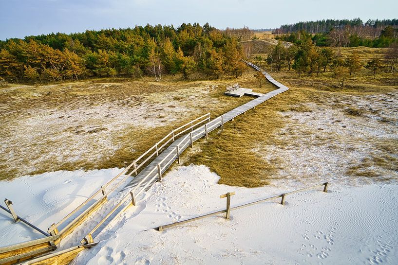 Wooden path through the dunes by the Baltic Sea by Martin Köbsch