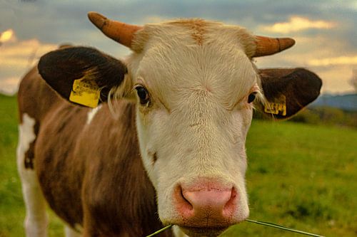 Natuur en landschap in het Erzgebergte