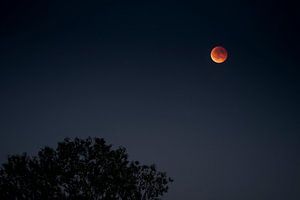 Blutmond