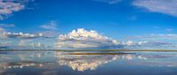 Strand von Texel mit herannahender Gewitterwolke in der Ferne von Sjoerd van der Wal Fotografie Miniaturansicht