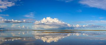 Strand von Texel mit herannahender Gewitterwolke in der Ferne von Sjoerd van der Wal