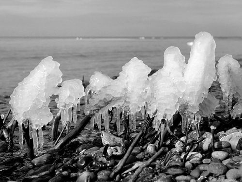 Eis am Stiel – Darß Weststrand im Winter 2018