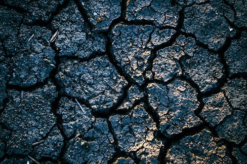 Cracked earth by dehydration