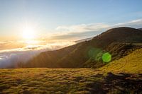 Lever de soleil sur Fanal Forrest