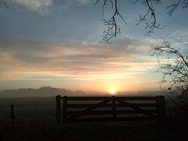 ochtendzon over westerwolde by Alfred Stenekes