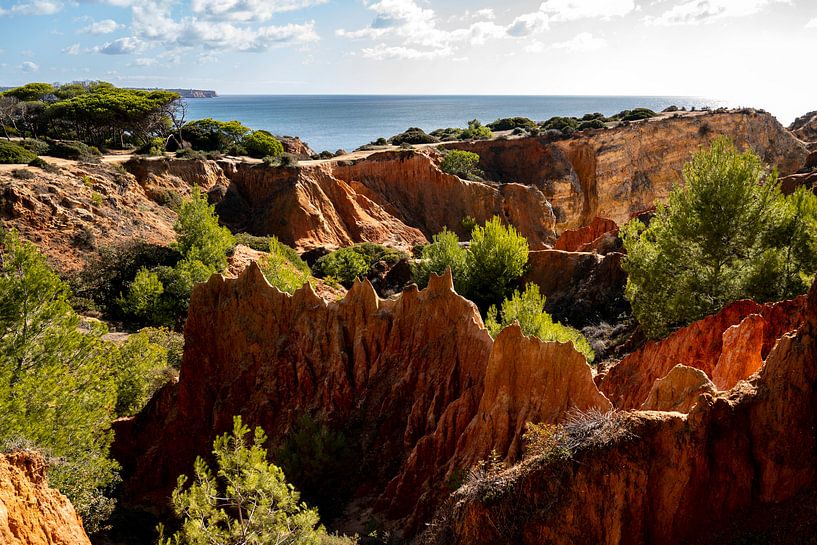 Les roches rouges et l'océan au Portugal par elma maaskant