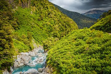 Portes de Haast, le parc national du mont Aspiring, Nouvelle-Zélande sur Rietje Bulthuis