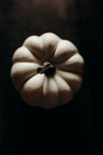 White pumpkin