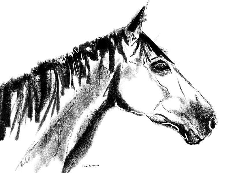 Horse portrait Sanne by Go van Kampen