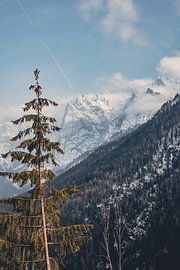 Winter nature by SJ Media