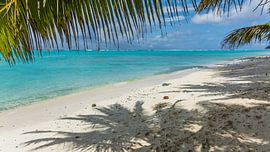 Océan bleu clair des îles Cook sur Shanti Hesse