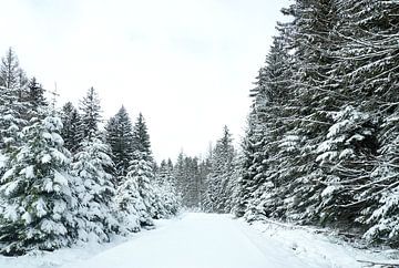 Sneeuw landschap van Daisy Renders