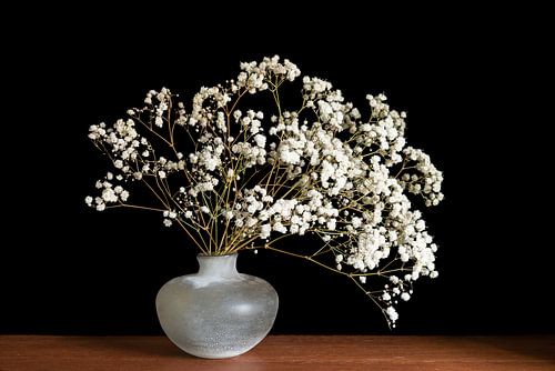 Still life with gypsophilia