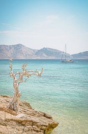 Griechisch genießen von Daphne Groeneveld