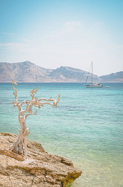 Greek enjoy by Daphne Groeneveld