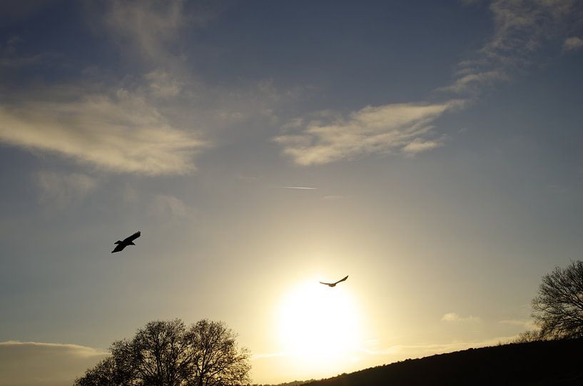 Sky is the limit by Jessey Vrossink