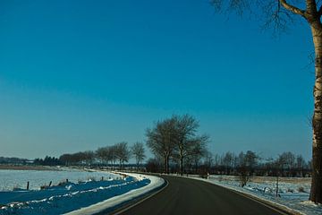 Weg in de winter in Sleeswijk-Holstein