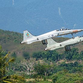 Twee Taiwanese Northrop F-5F Tiger II toestellen. van Jaap van den Berg