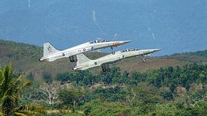 Zwei taiwanesische Northrop F-5F Tiger II Flugzeuge.